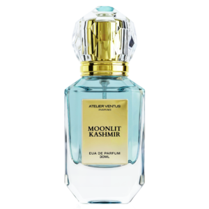 Moonlit Kashmir
